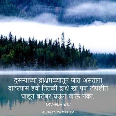 Picture 03 - अनुवाद 23:24 MARIRV - दुसऱ्याच्या - Bible Verse Picture