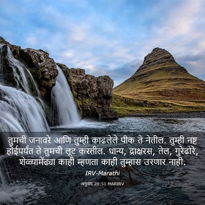 Picture 03 - अनुवाद 28:51 MARIRV - तुमची जनावरे आणि - Bible Verse Picture