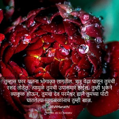 Picture 03 - अनुवाद 28:53 MARIRV - तुम्हास फार यातना - Bible Verse Picture