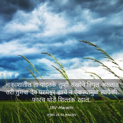 Picture 03 - अनुवाद 28:62 MARIRV - आकाशातील - Bible Verse Picture