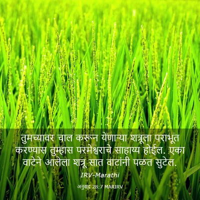 Picture 03 - अनुवाद 28:7 MARIRV - तुमच्यावर चाल - Bible Verse Picture