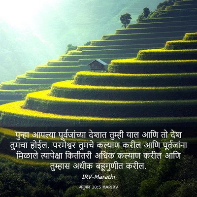 Picture 03 - अनुवाद 30:5 MARIRV - पुन्हा आपल्या - Bible Verse Picture