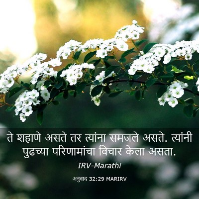 Picture 03 - अनुवाद 32:29 MARIRV - ते शहाणे असते तर - Bible Verse Picture
