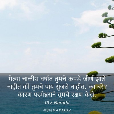 Picture 03 - अनुवाद 8:4 MARIRV - गेल्या चाळीस - Bible Verse Picture