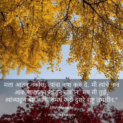 Picture 03 - अनुवाद 9:14 MARIRV - मला आडवू नकोस, - Bible Verse Picture