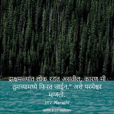 Picture 03 - आमोस 5:17 MARIRV - द्राक्षमळ्यांत - Bible Verse Picture