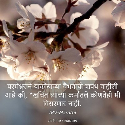 Picture 03 - आमोस 8:7 MARIRV - परमेश्वराने - Bible Verse Picture