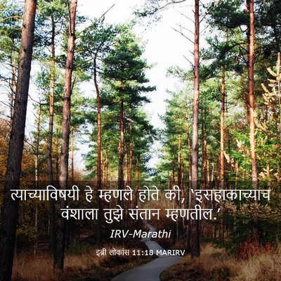 Picture 03 - इब्री लोकांस 11:18 MARIRV - त्याच्याविषयी हे - Bible Verse Picture