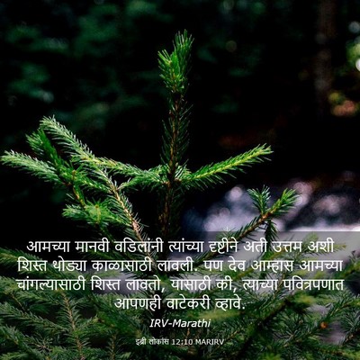Picture 03 - इब्री लोकांस 12:10 MARIRV - आमच्या मानवी - Bible Verse Picture