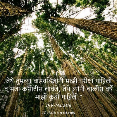 Picture 03 - इब्री लोकांस 3:9 MARIRV - जेथे तुमच्या - Bible Verse Picture