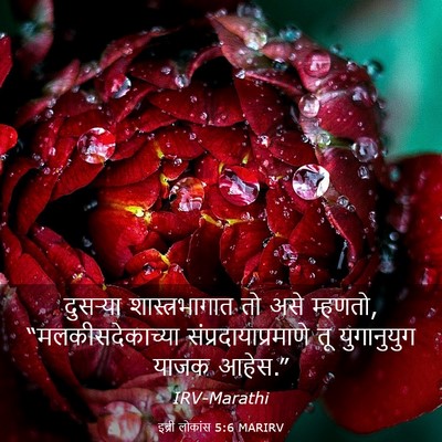 Picture 03 - इब्री लोकांस 5:6 MARIRV - दुसऱ्या - Bible Verse Picture