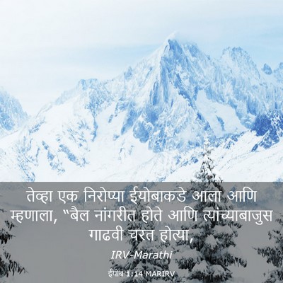 Picture 03 - ईयोब 1:14 MARIRV - तेव्हा एक - Bible Verse Picture