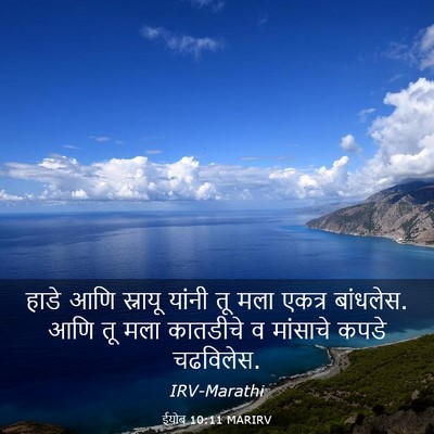 Picture 03 - ईयोब 10:11 MARIRV - हाडे आणि स्नायू - Bible Verse Picture