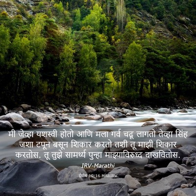 Picture 03 - ईयोब 10:16 MARIRV - मी जेव्हा यशस्वी - Bible Verse Picture
