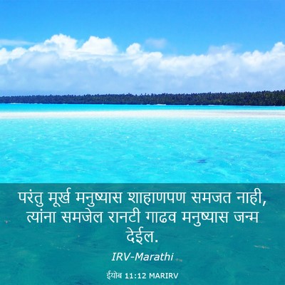 Picture 03 - ईयोब 11:12 MARIRV - परंतु मूर्ख - Bible Verse Picture
