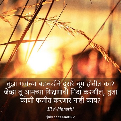 Picture 03 - ईयोब 11:3 MARIRV - तुझा गर्वाच्या - Bible Verse Picture