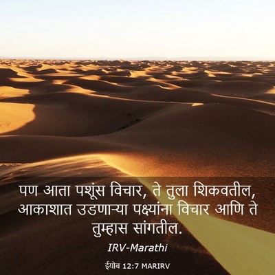 Picture 03 - ईयोब 12:7 MARIRV - पण आता पशूंस विचार, - Bible Verse Picture