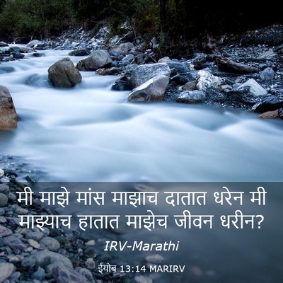 Picture 03 - ईयोब 13:14 MARIRV - मी माझे मांस माझाच - Bible Verse Picture