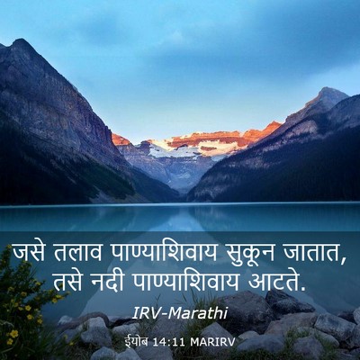 Picture 03 - ईयोब 14:11 MARIRV - जसे तलाव - Bible Verse Picture