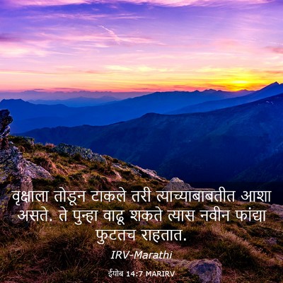 Picture 03 - ईयोब 14:7 MARIRV - वृक्षाला तोडून - Bible Verse Picture
