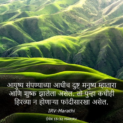 Picture 03 - ईयोब 15:32 MARIRV - आयुष्य - Bible Verse Picture