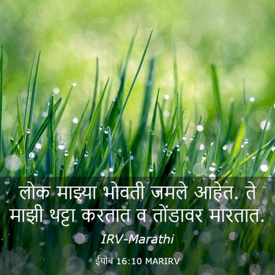 Picture 03 - ईयोब 16:10 MARIRV - लोक माझ्या भोवती - Bible Verse Picture