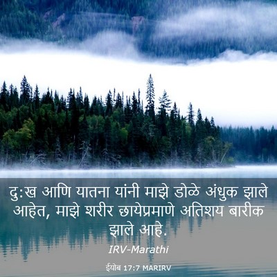 Picture 03 - ईयोब 17:7 MARIRV - दु:ख आणि यातना - Bible Verse Picture