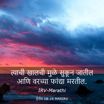 Picture 03 - ईयोब 18:16 MARIRV - त्याची खालची मुळे - Bible Verse Picture
