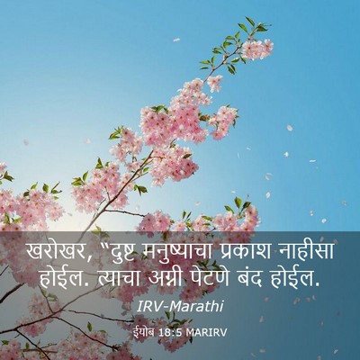 Picture 03 - ईयोब 18:5 MARIRV - खरोखर, “दुष्ट - Bible Verse Picture