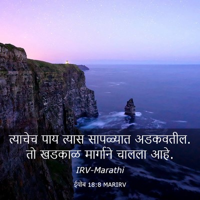 Picture 03 - ईयोब 18:8 MARIRV - त्याचेच पाय त्यास - Bible Verse Picture