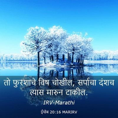 Picture 03 - ईयोब 20:16 MARIRV - तो फुरशाचे विष - Bible Verse Picture