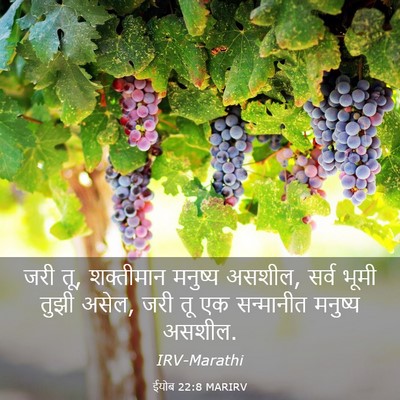 Picture 03 - ईयोब 22:8 MARIRV - जरी तू, शक्तीमान - Bible Verse Picture