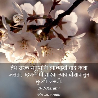 Picture 03 - ईयोब 23:7 MARIRV - तेथे सरळ - Bible Verse Picture