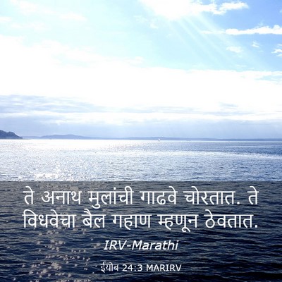 Picture 03 - ईयोब 24:3 MARIRV - ते अनाथ मुलांची - Bible Verse Picture