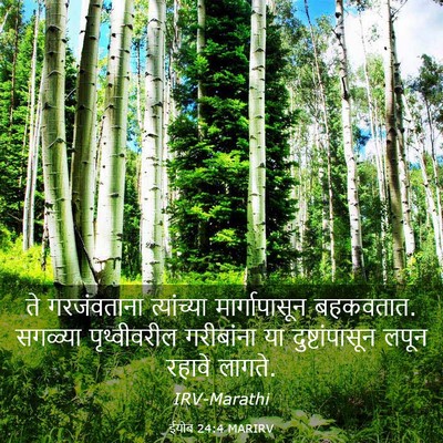 Picture 03 - ईयोब 24:4 MARIRV - ते गरजंवताना - Bible Verse Picture
