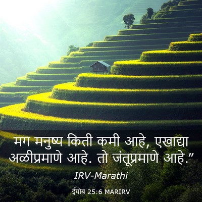 Picture 03 - ईयोब 25:6 MARIRV - मग मनुष्य किती कमी - Bible Verse Picture