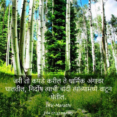 Picture 03 - ईयोब 27:17 MARIRV - जरी तो कपडे करील ते - Bible Verse Picture