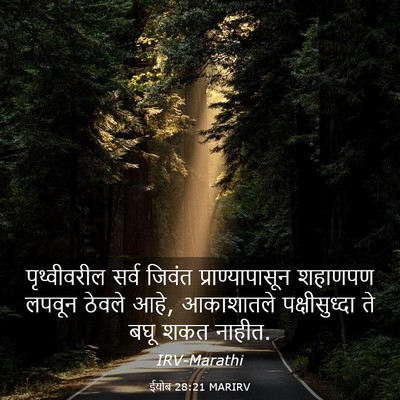 Picture 03 - ईयोब 28:21 MARIRV - पृथ्वीवरील सर्व - Bible Verse Picture