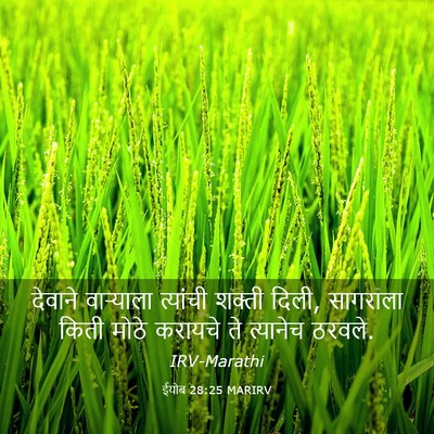 Picture 03 - ईयोब 28:25 MARIRV - देवाने वाऱ्याला - Bible Verse Picture