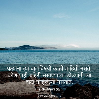Picture 03 - ईयोब 28:7 MARIRV - पक्ष्यांना त्या - Bible Verse Picture