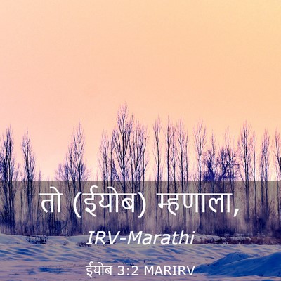 Picture 03 - ईयोब 3:2 MARIRV - तो (ईयोब) - Bible Verse Picture