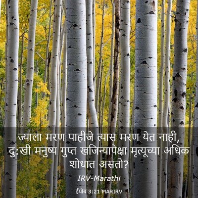 Picture 03 - ईयोब 3:21 MARIRV - ज्याला मरण पाहीजे - Bible Verse Picture