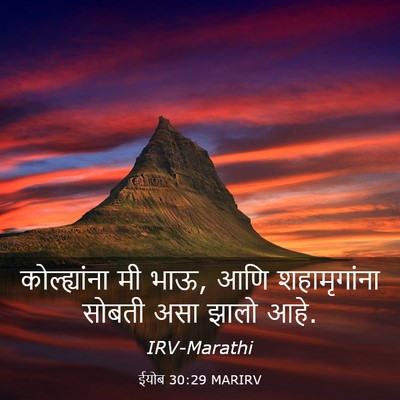 Picture 03 - ईयोब 30:29 MARIRV - कोल्ह्यांना मी - Bible Verse Picture