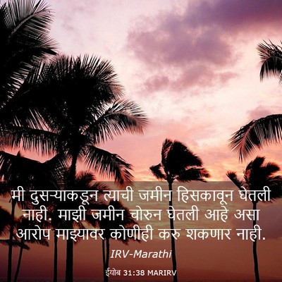 Picture 03 - ईयोब 31:38 MARIRV - मी दुसऱ्याकडून - Bible Verse Picture