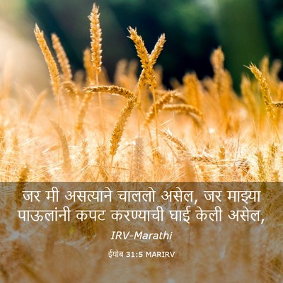 Picture 03 - ईयोब 31:5 MARIRV - जर मी असत्याने - Bible Verse Picture