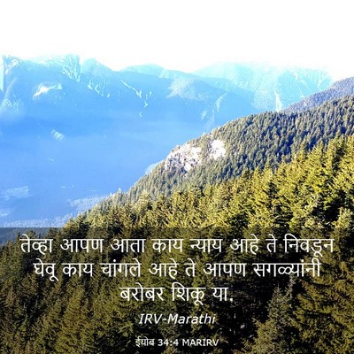 Picture 03 - ईयोब 34:4 MARIRV - तेव्हा आपण आता काय - Bible Verse Picture