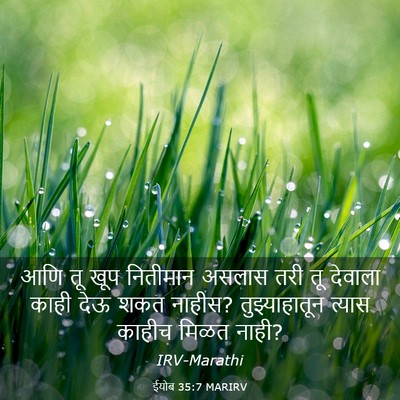 Picture 03 - ईयोब 35:7 MARIRV - आणि तू खूप नितीमान - Bible Verse Picture