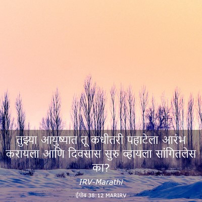 Picture 03 - ईयोब 38:12 MARIRV - तुझ्या आयुष्यात - Bible Verse Picture
