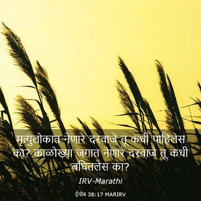 Picture 03 - ईयोब 38:17 MARIRV - मृत्युलोकात - Bible Verse Picture