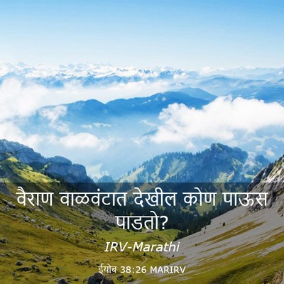 Picture 03 - ईयोब 38:26 MARIRV - वैराण वाळवंटात - Bible Verse Picture